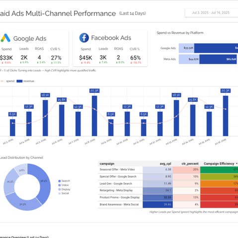 Paid Ads Multi-Channel Performance Dashboard